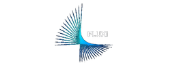 Fluxi
